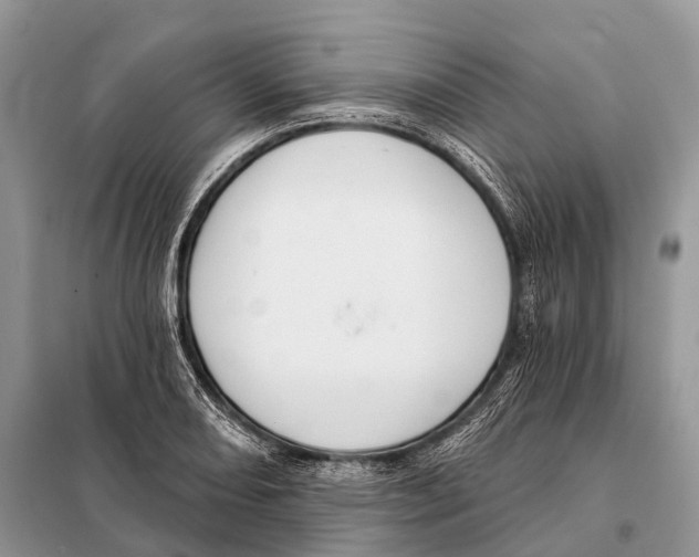 X0000097911082200804111106