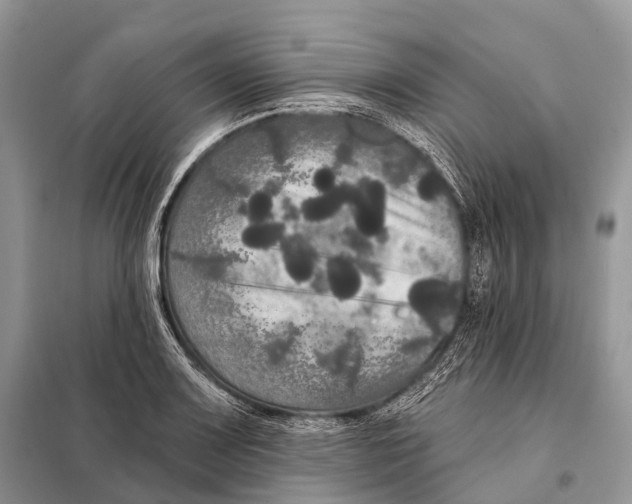 X0000097911083200804111106