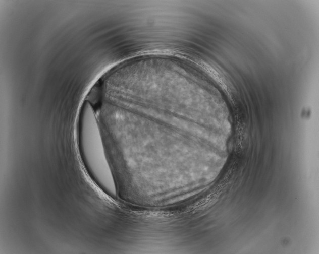 X0000097911084200804111106