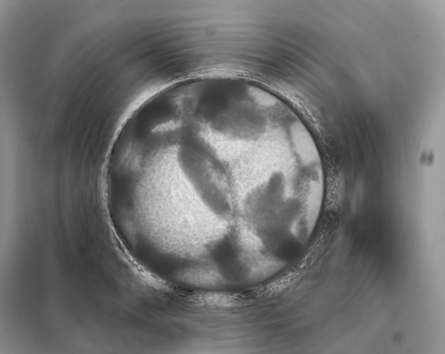 X0000097911086200804111106