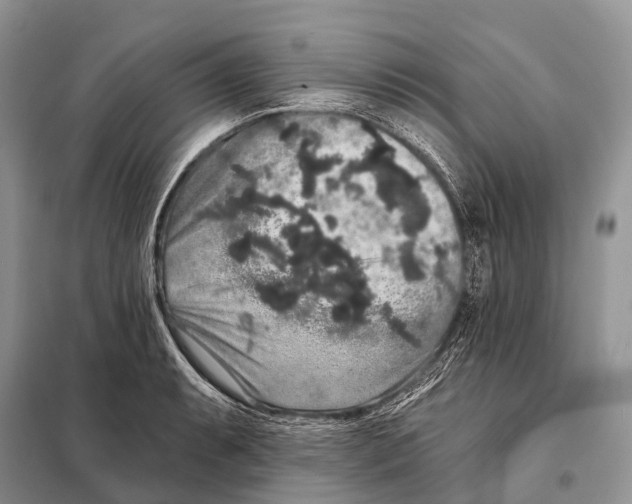 X0000097911087200804111106