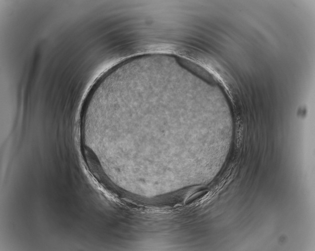 X0000097911088200804111106