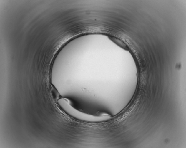 X0000097911089200804111106