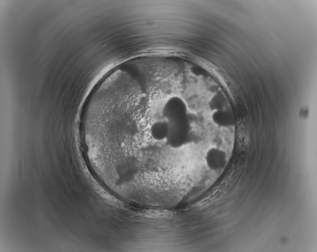 X0000097911091200804111106