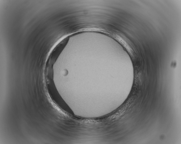 X0000097911092200804111106