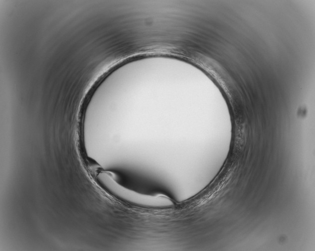 X0000097911093200804111106