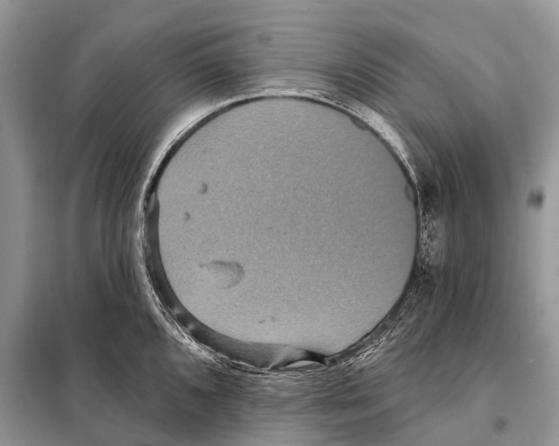 X0000097911096200804111106