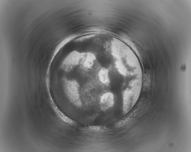 X0000097911098200804111106