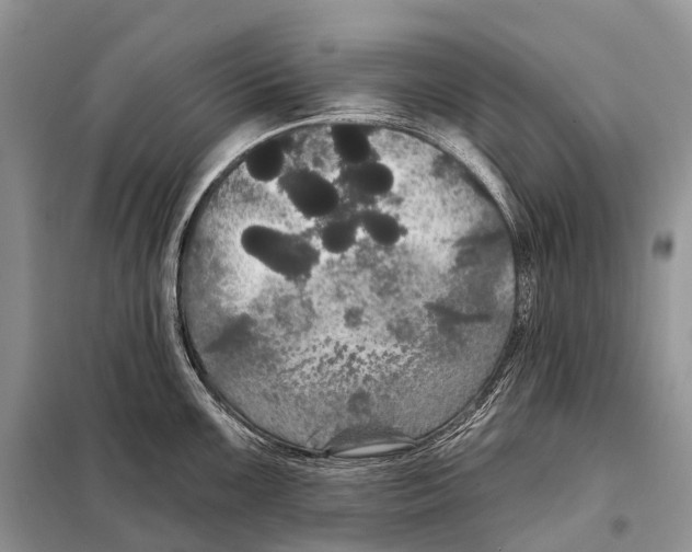 X0000097911099200804111106