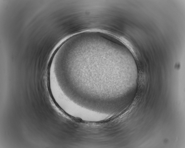 X0000097911100200804111106