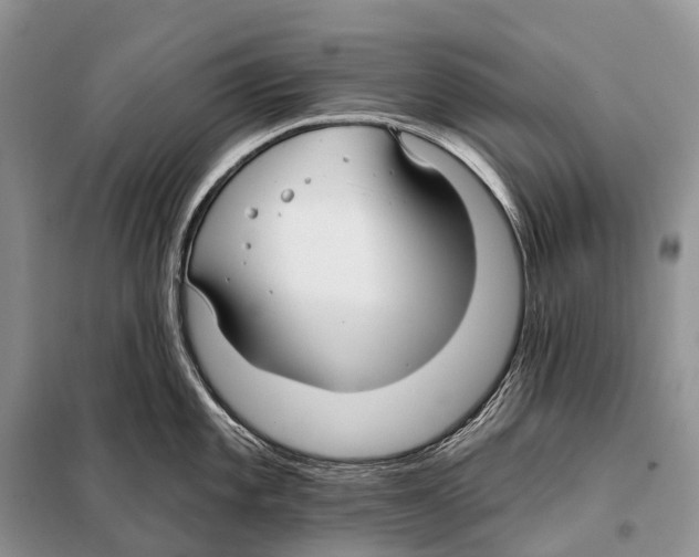 X0000097911101200804111106