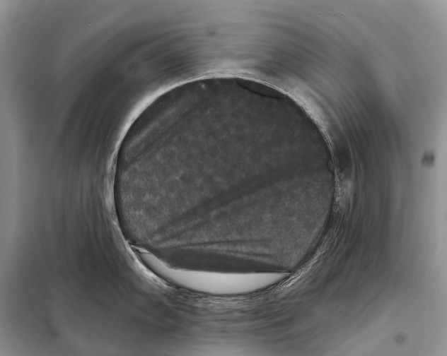 X0000097911102200804111106