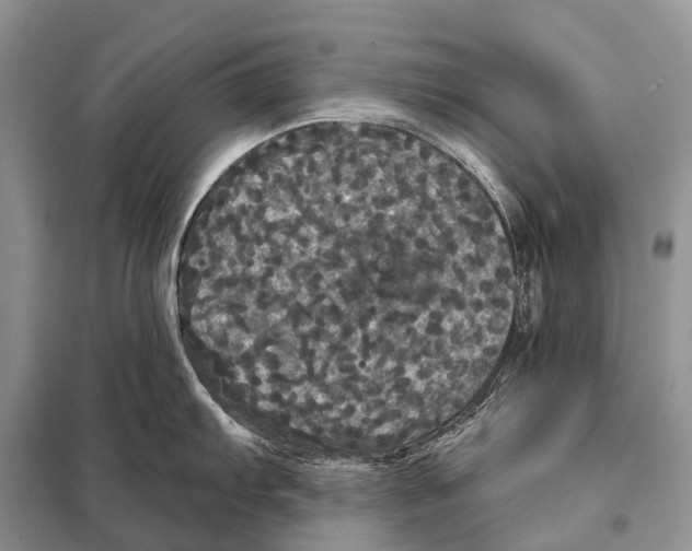 X0000097911103200804111106