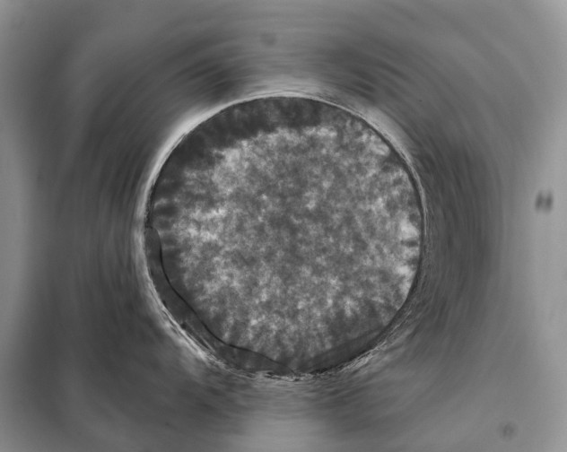 X0000097911104200804111106