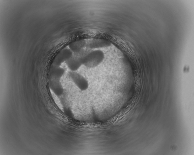 X0000097911105200804111105