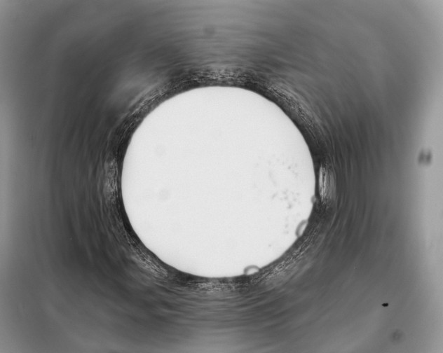 X0000097911107200804111105