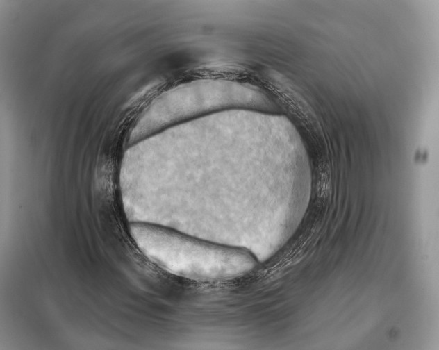 X0000097911108200804111105