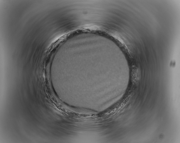 X0000097911112200804111105