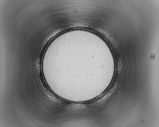 X0000097911113200804111105