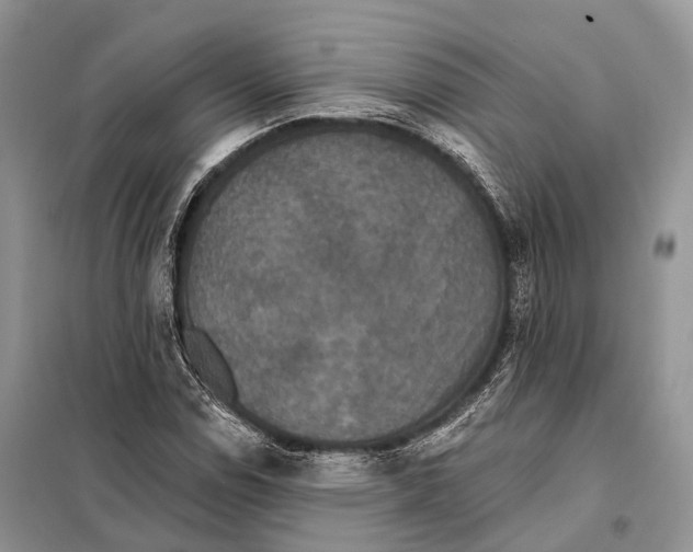 X0000097911114200804111105