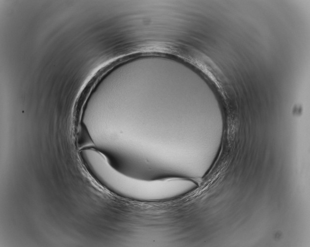 X0000097911116200804111105