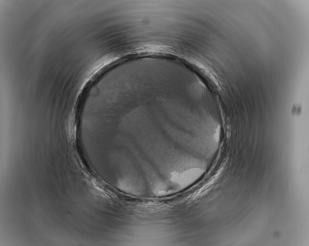 X0000097911117200804111105