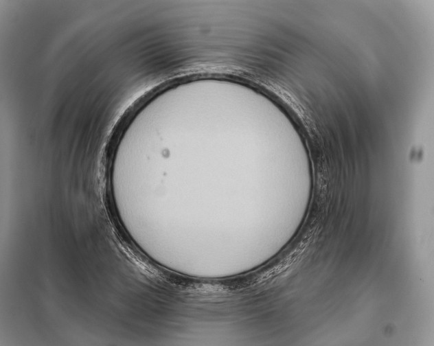 X0000097911119200804111105