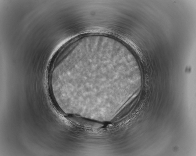 X0000097911120200804111105