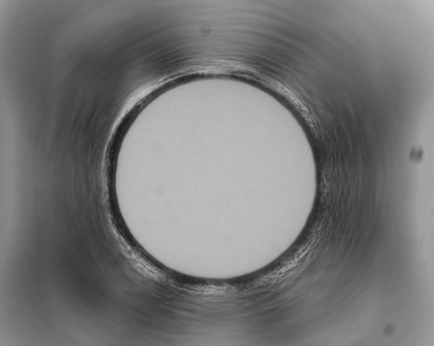 X0000097911122200804111105