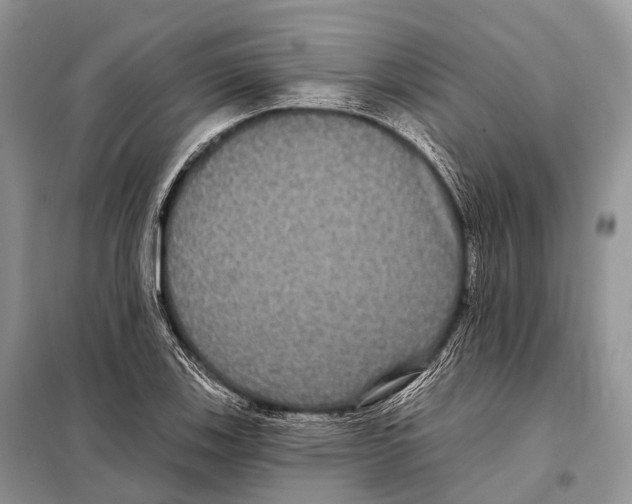 X0000097911123200804111105