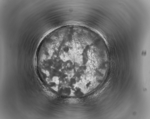 X0000097911125200804111105