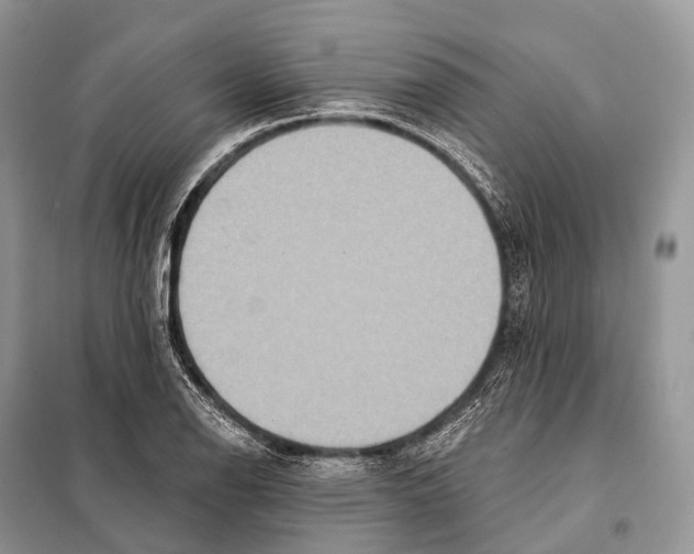 X0000097911126200804111105