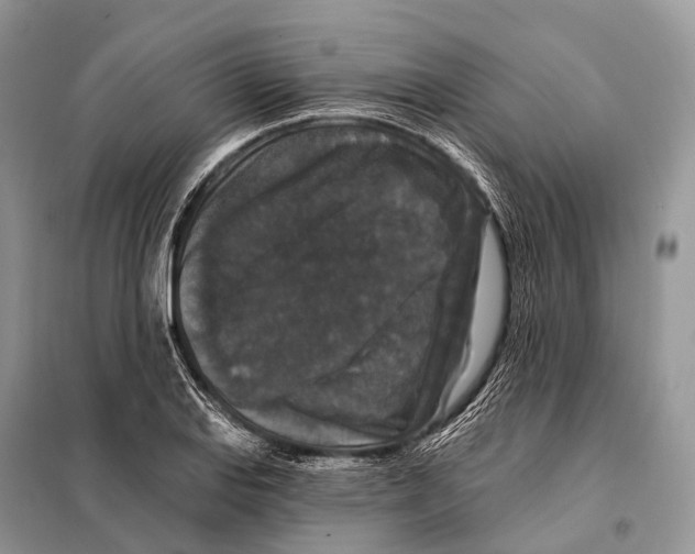 X0000097911127200804111105