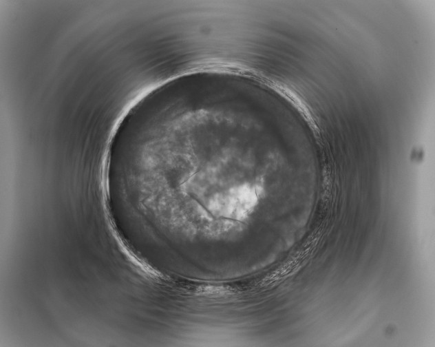 X0000097911128200804111105