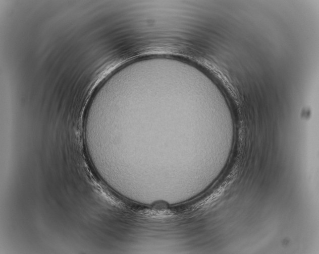 X0000097911129200804111105