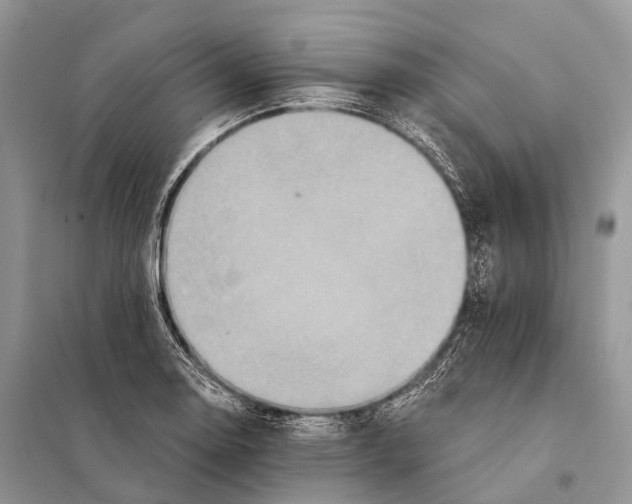 X0000097911130200804111105