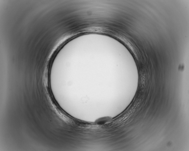 X0000097911131200804111105