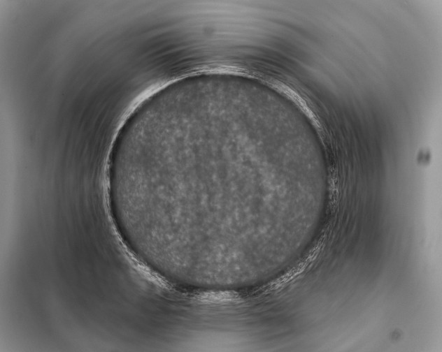 X0000097911133200804111105