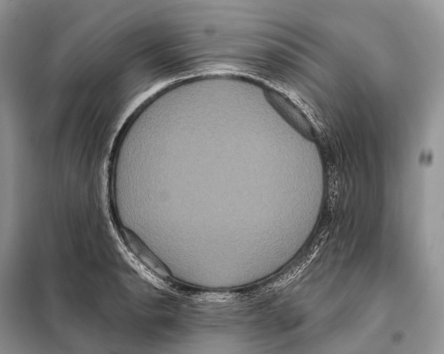 X0000097911134200804111105