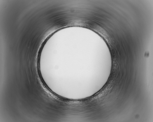 X0000097911135200804111105