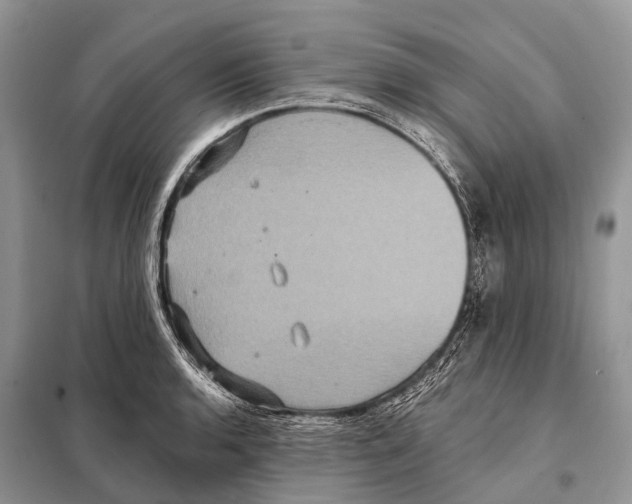 X0000097911136200804111105