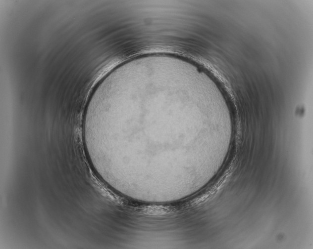 X0000097911137200804111105