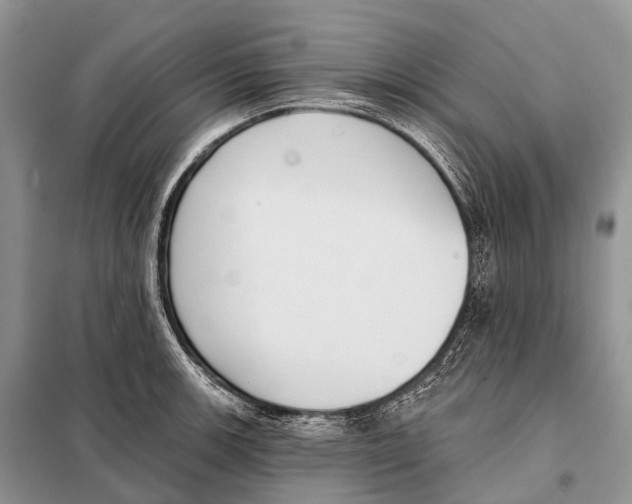 X0000097911139200804111105