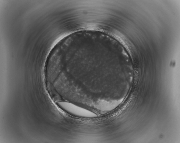 X0000097911141200804111105