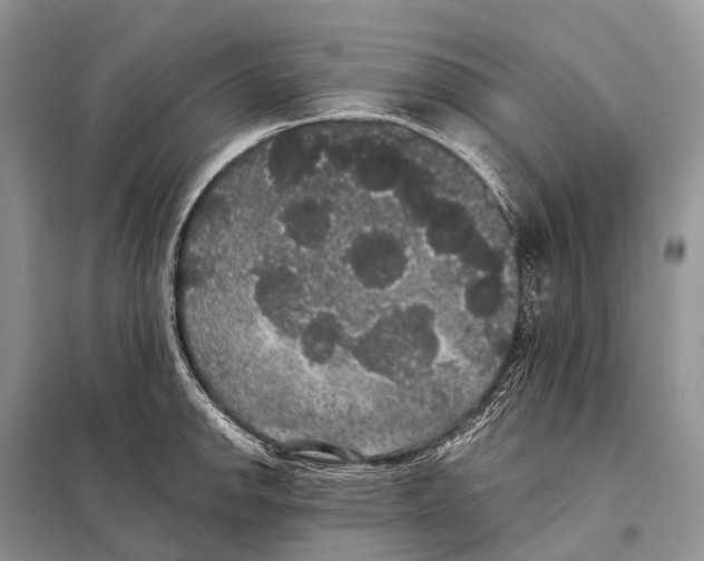 X0000097911142200804111105