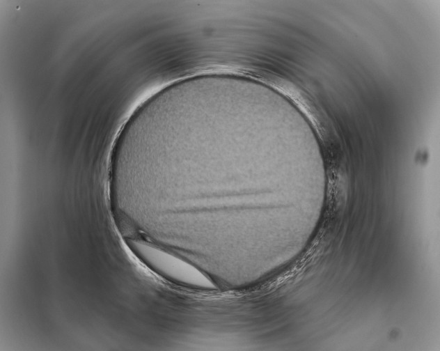 X0000097911143200804111105