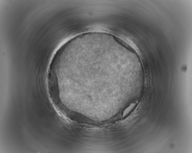 X0000097911144200804111105