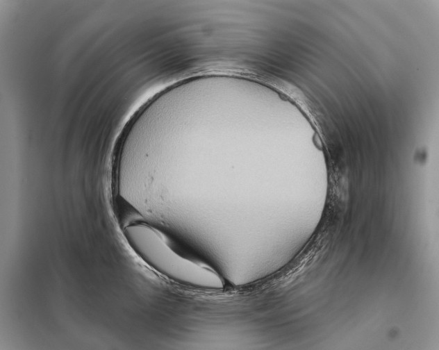 X0000097911147200804111105