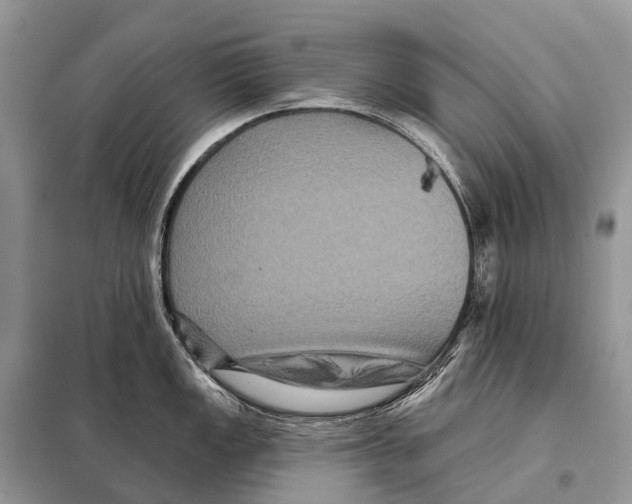 X0000097911149200804111106