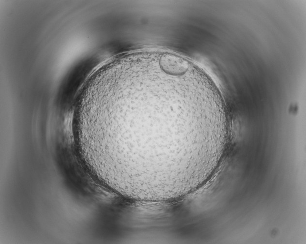 X0000097911150200804111106